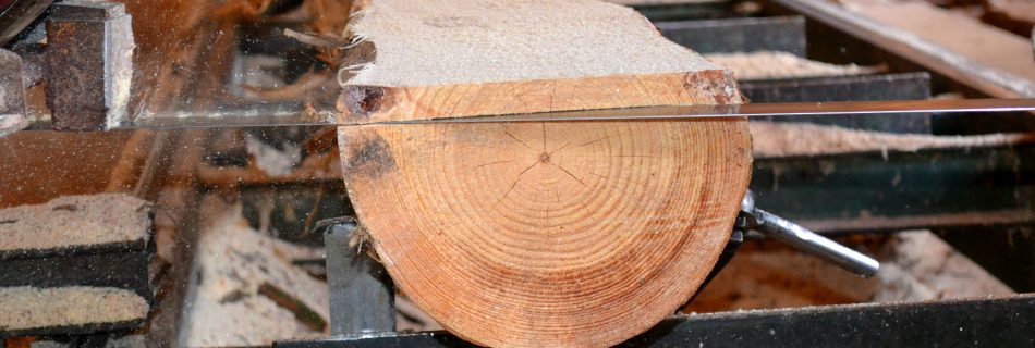 Sasi Wholesale Offers Cedar Lumber